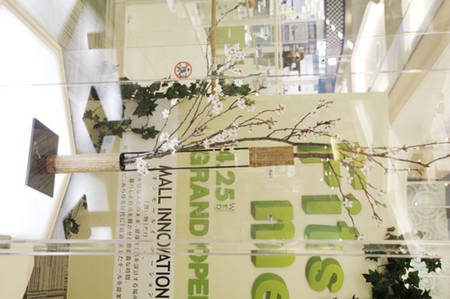 ionmo-rusoftopen 061.jpg